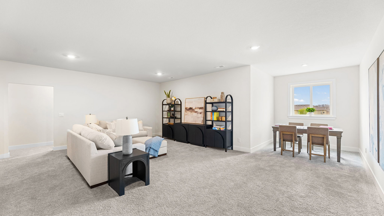 Carpeted basement flex area