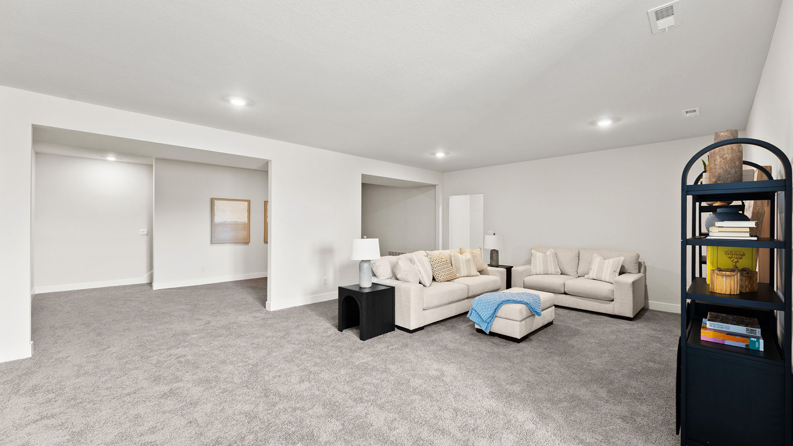 Carpeted basement flex area