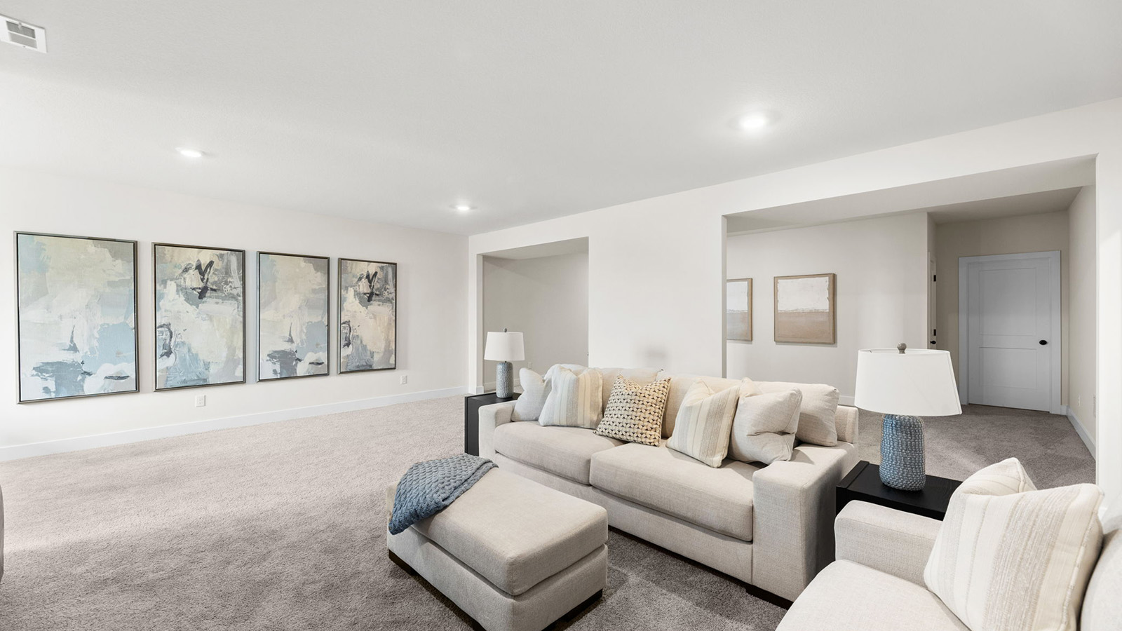 Carpeted basement flex area