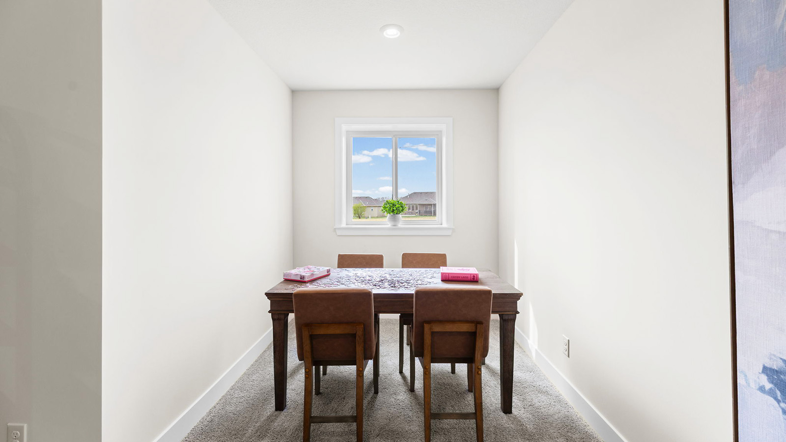 Carpeted basement flex area