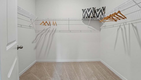 Carpeted walk in closet with built in storage racks