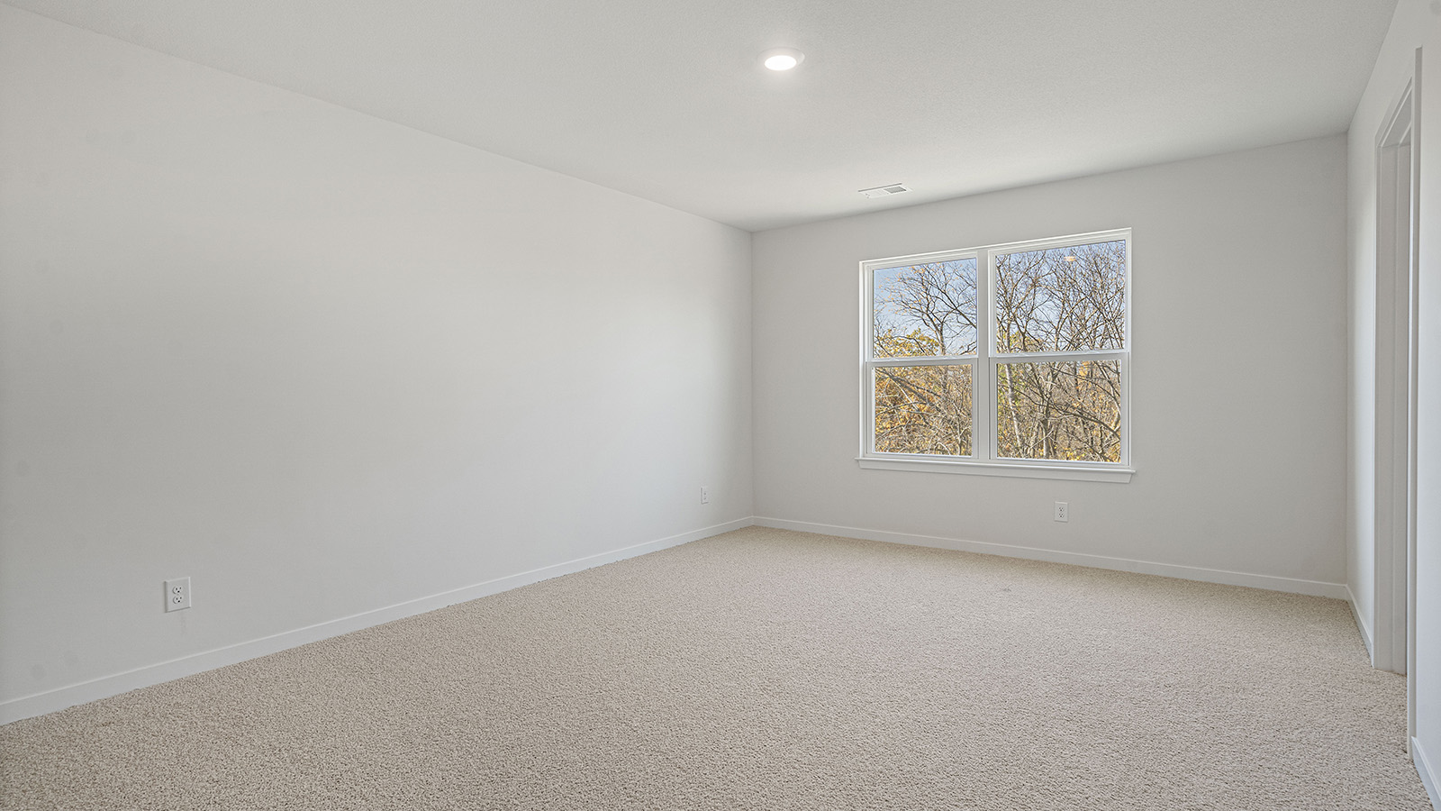 Primary Carpeted walk in closet