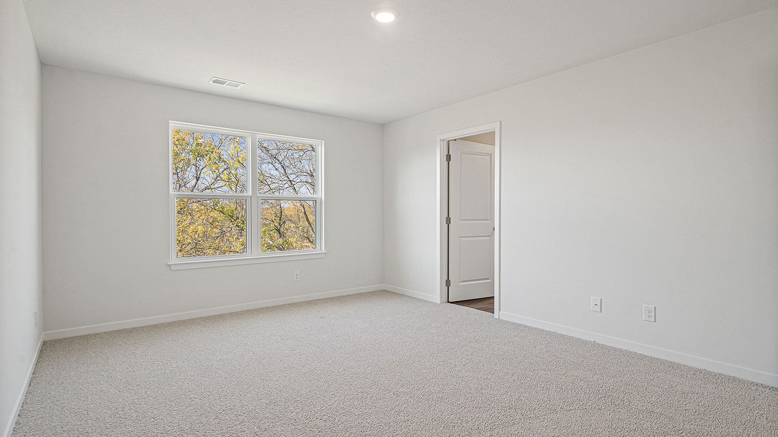 Primary Carpeted walk in closet