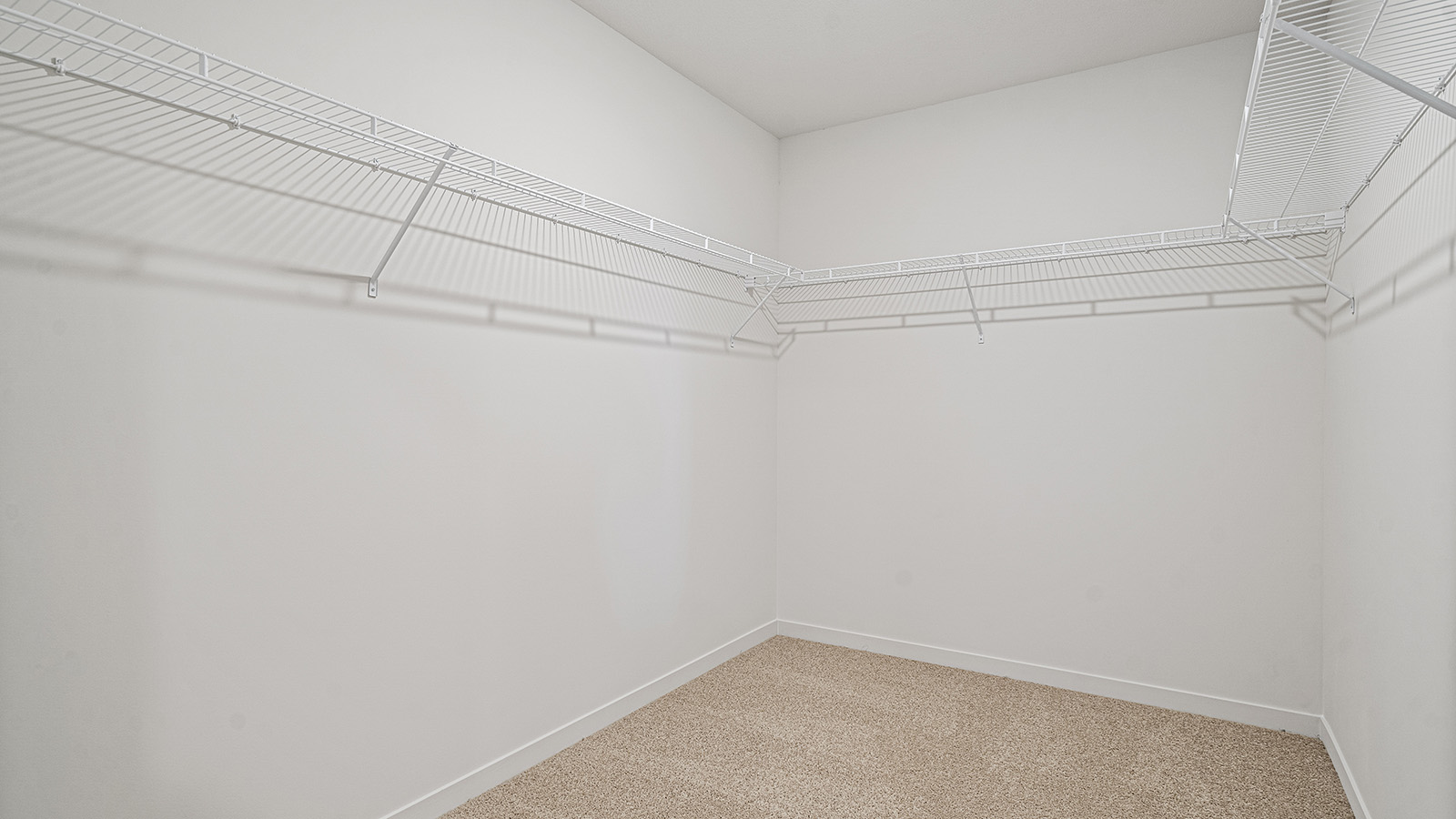 Primary Carpeted walk in closet