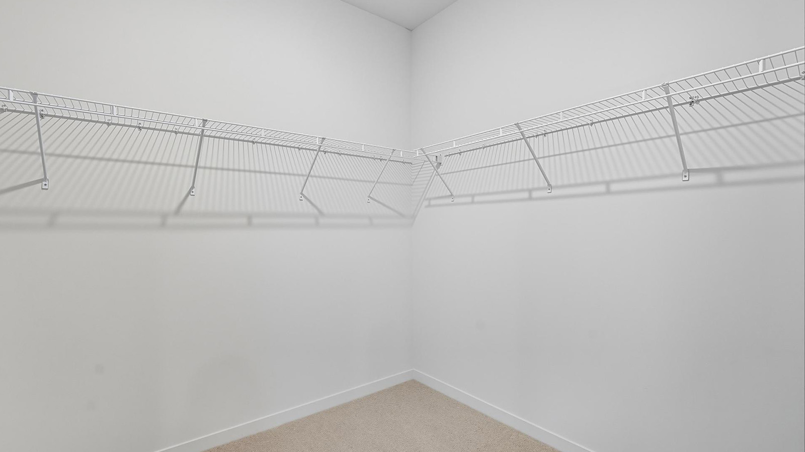 Primary carpeted walk in closet.