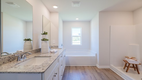 Primary bathroom