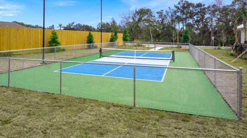 Pickle ball court