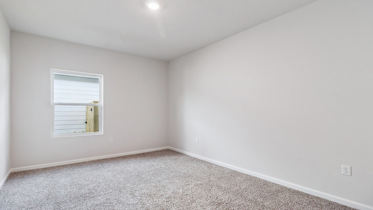 8 171 needle thrush 8