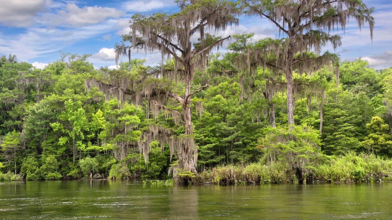 Wakulla Springs