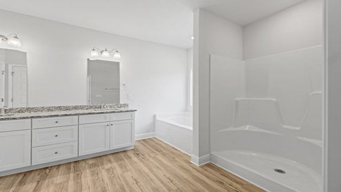 Walk in shower and soaking tub