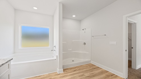Walk in shower and soaking tub