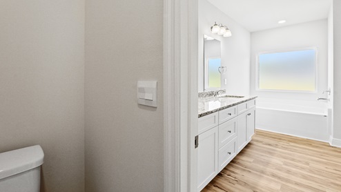 Primary bathroom