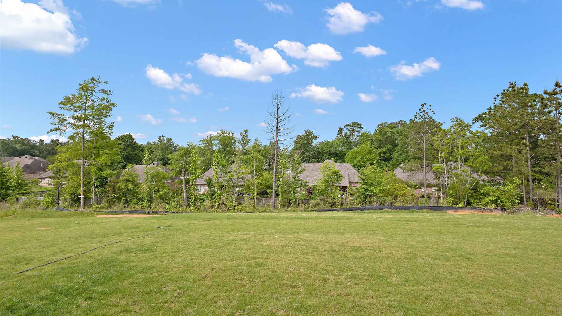 beautiful tree-lined backyard