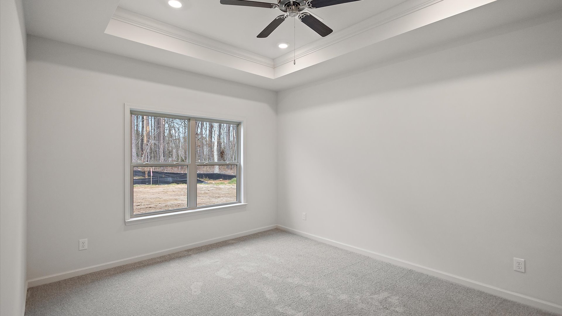 Primary bedroom with carpeted floors, large windows, and trey ceilings.