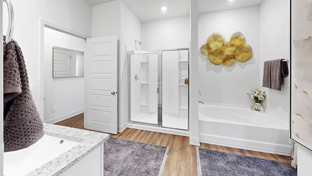 walk in shower with garden tub