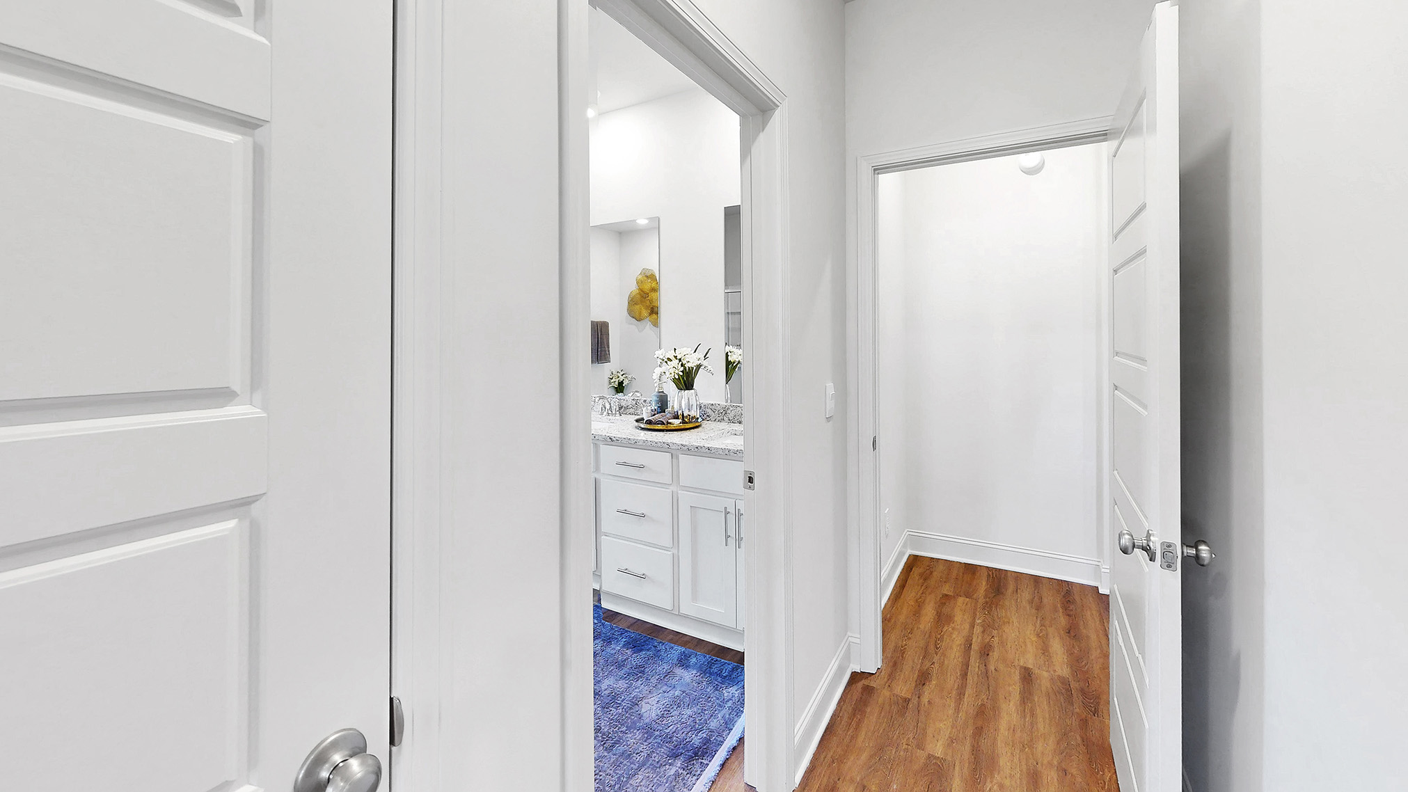 door to primary bath and walk in closet