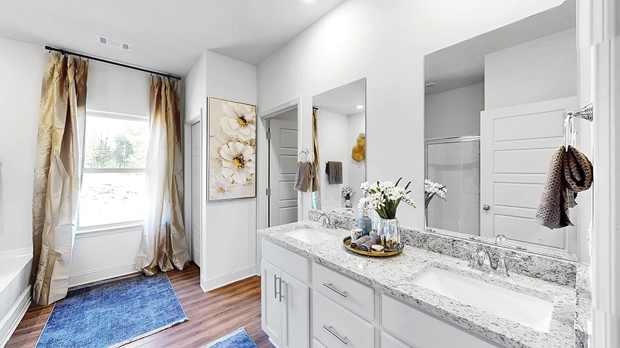 primary bathroom with dual vanity