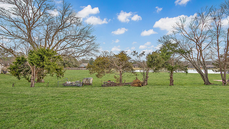 Large green space backyard.