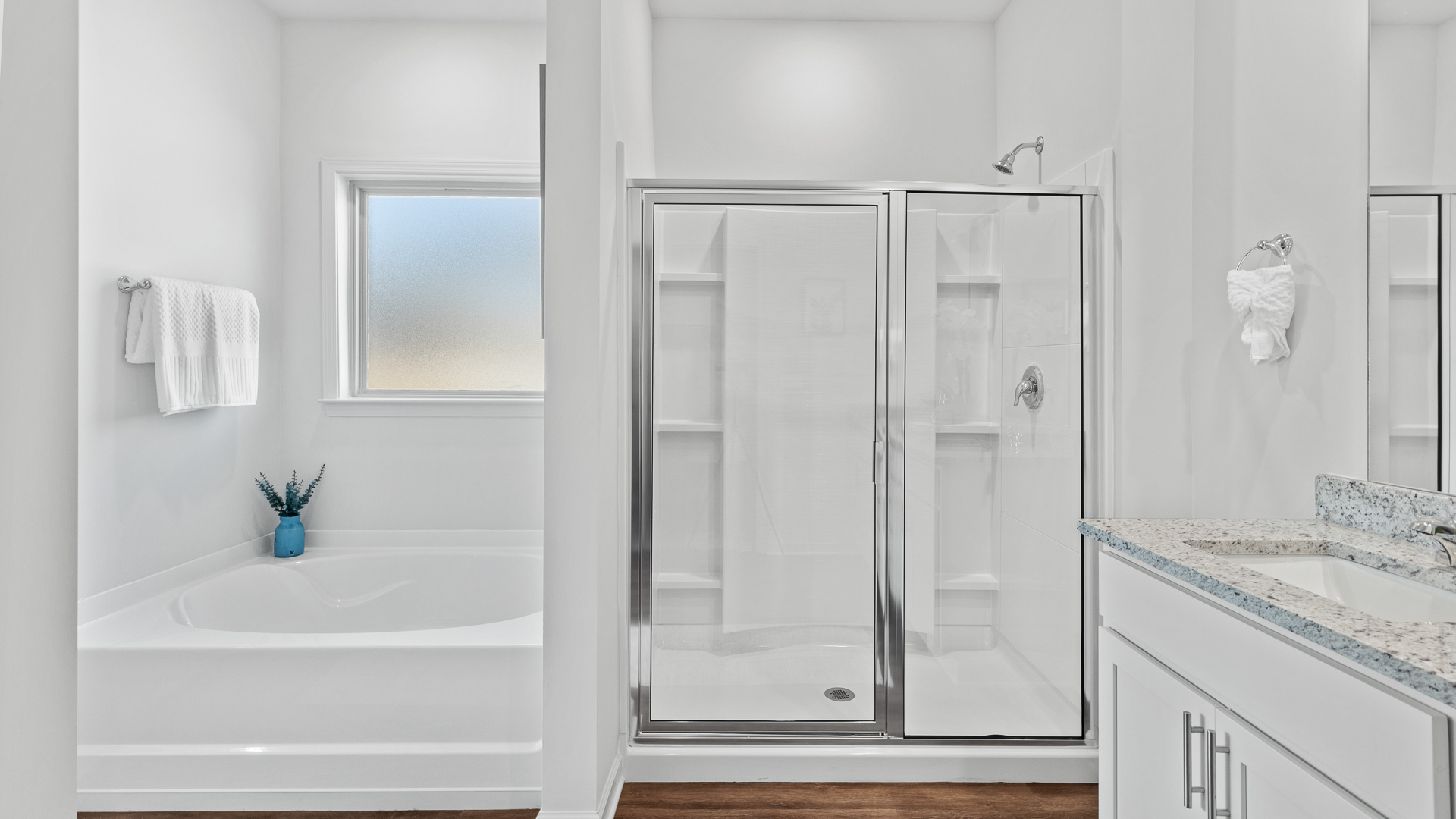 stand alone bathtub and walk in shower next to each other in the bathroom