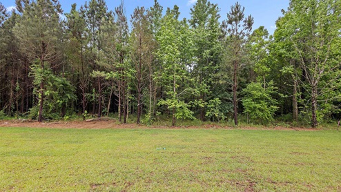 The spacious back yard.