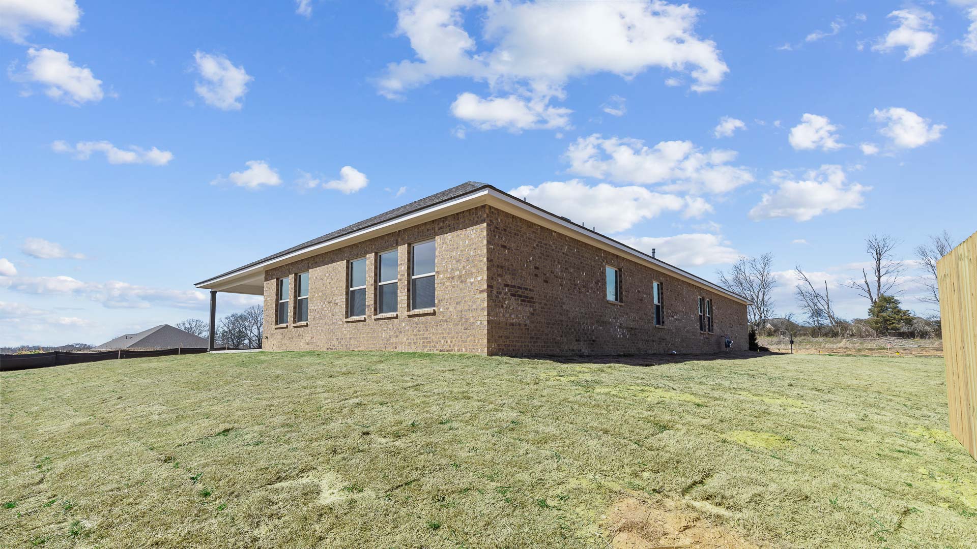 open backyard and greenspace