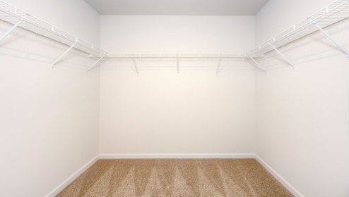 Primary bedroom walk in closet with carpet and racks for hanging