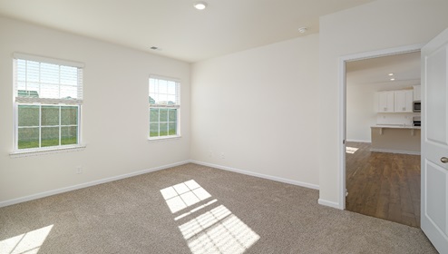 carpeted bedroom with two large windows