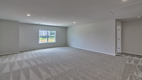 Carpeted bonus room with large window