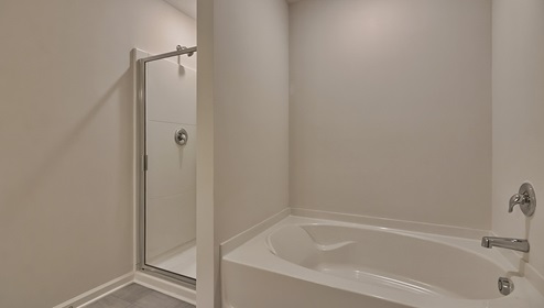 Primary Bathroom with double sinks, bathtub and standing shower