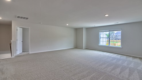 Carpeted bonus room with large window