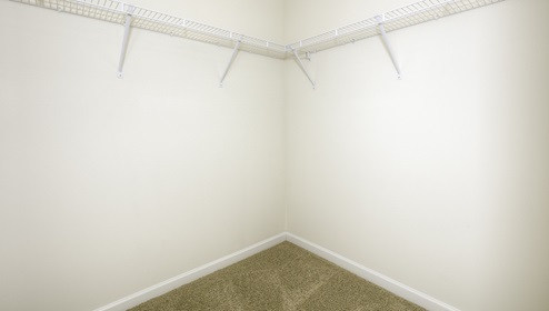 Primary bedroom walk in closet with racks for hanging