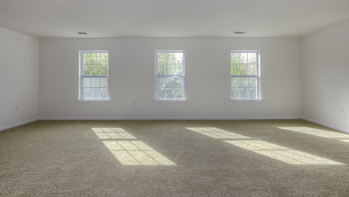 Bonus room with carpet and large windows