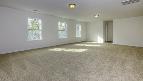 Bonus room with carpet and large windows