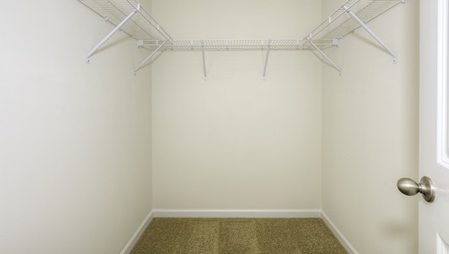Bonus room walk in closet with carpet