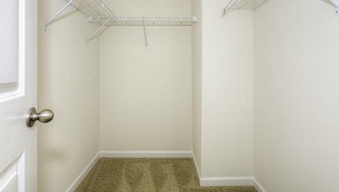 Bonus room walk in closet with carpet