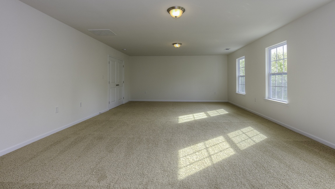 Bonus room with carpet and large windows
