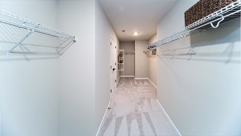 Primary walk in closet with carpet and built in hanging racks