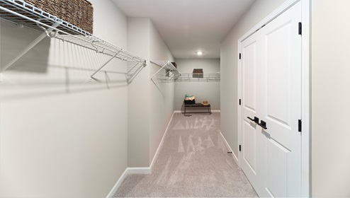 Primary walk in closet with carpet and built in hanging racks