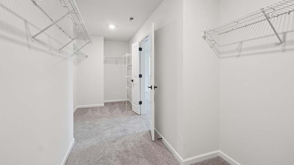 Primary bedroom with windows