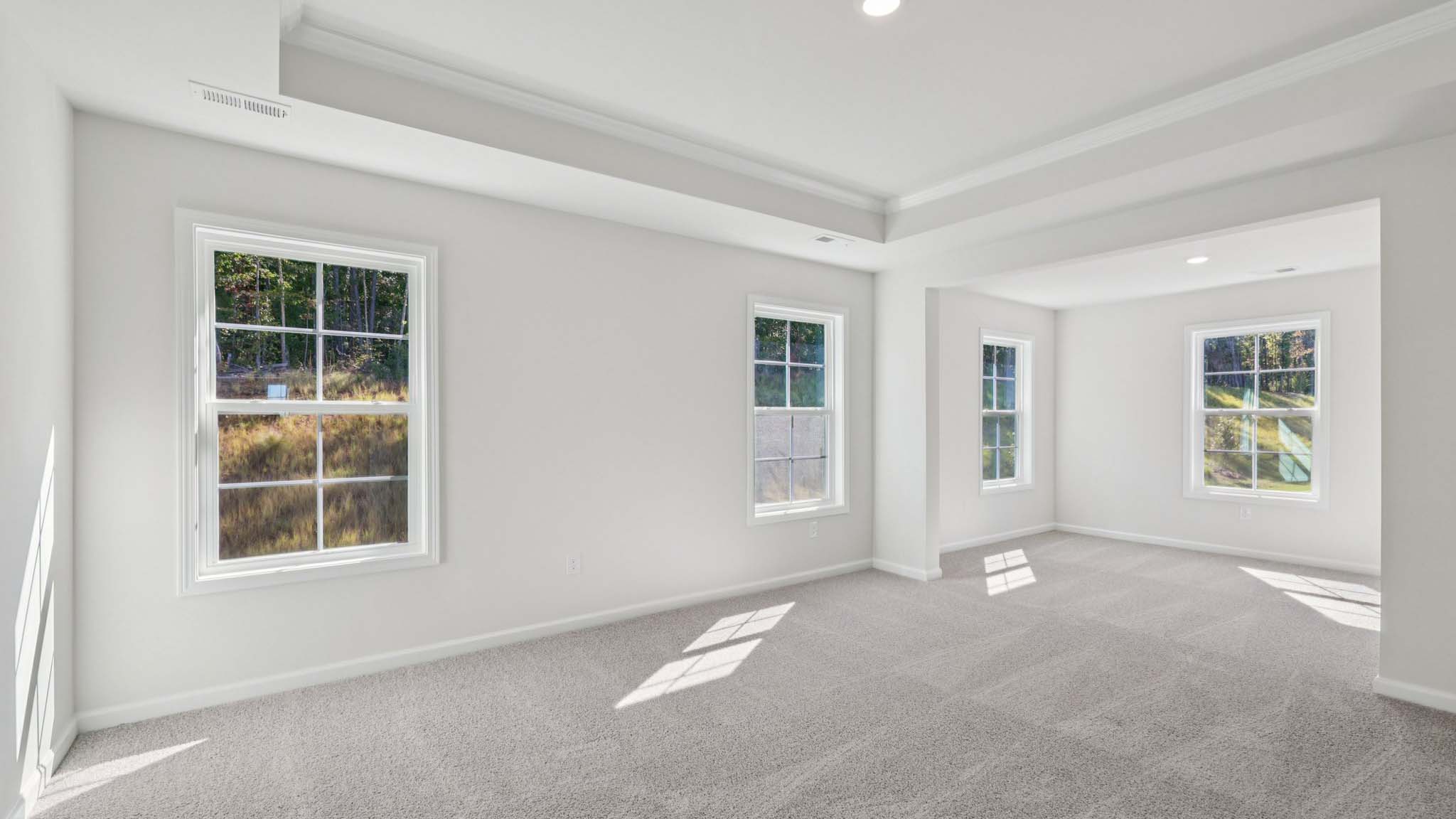 Primary bedroom with windows