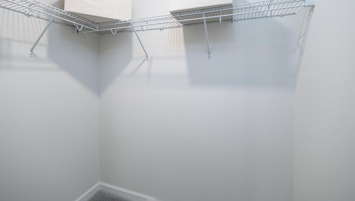 Carpeted walk in closet