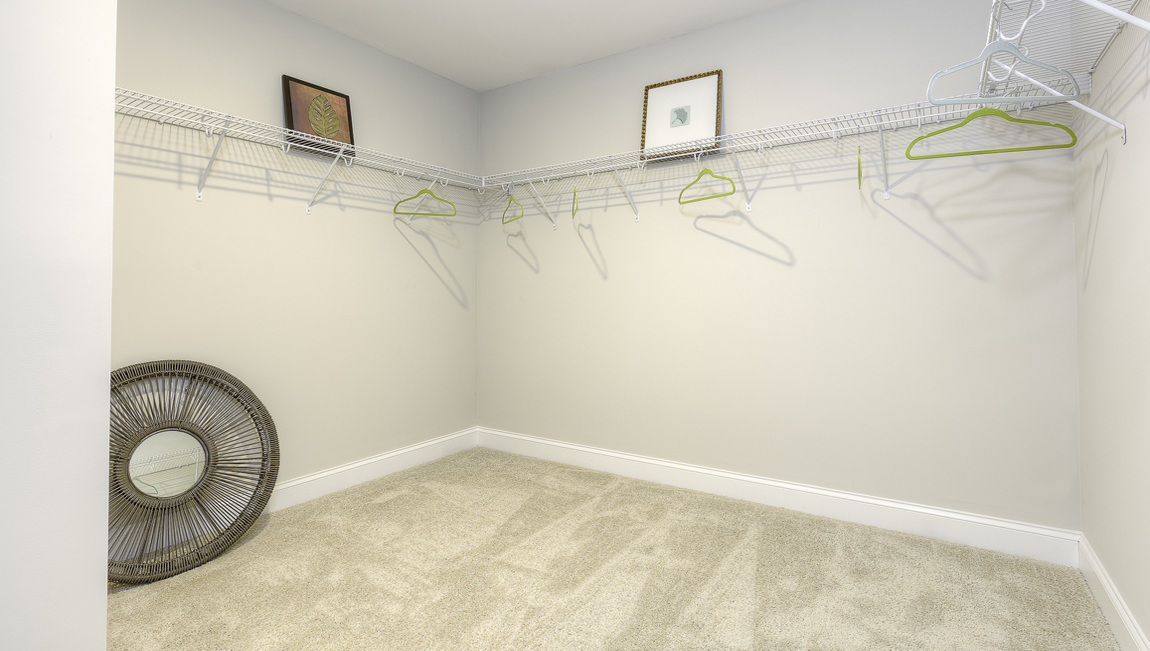 Primary walk in closet with carpet and built in hanger racks