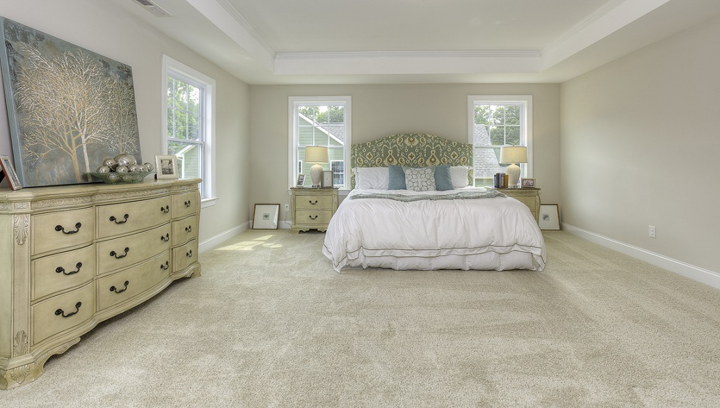 Primary bedroom with carpet, and four large windows