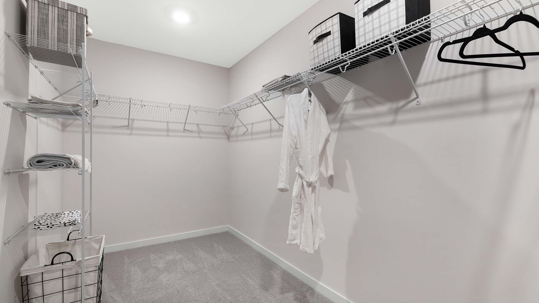 Primary carpeted walk in closet