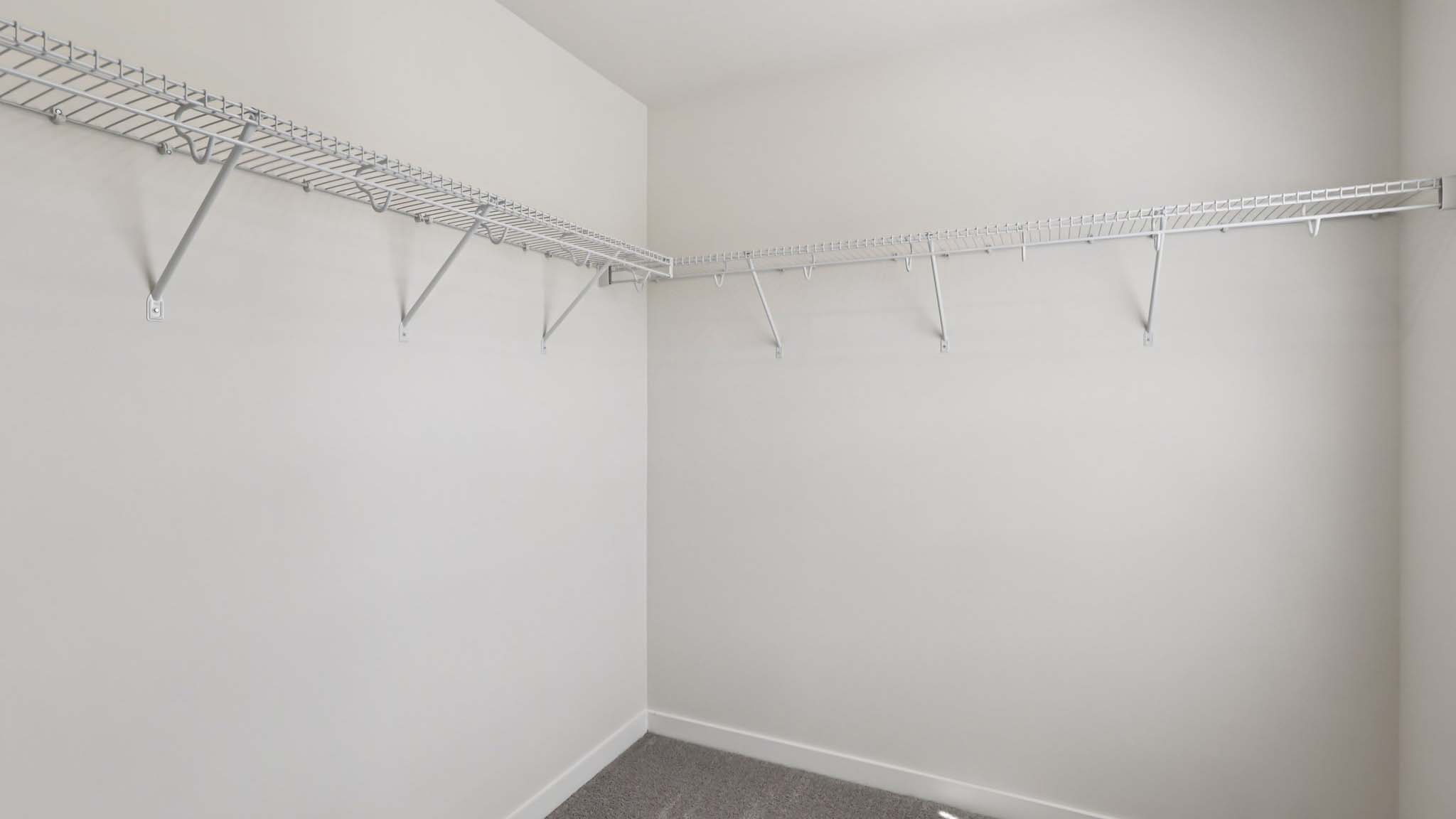 Primary carpeted walk in closet