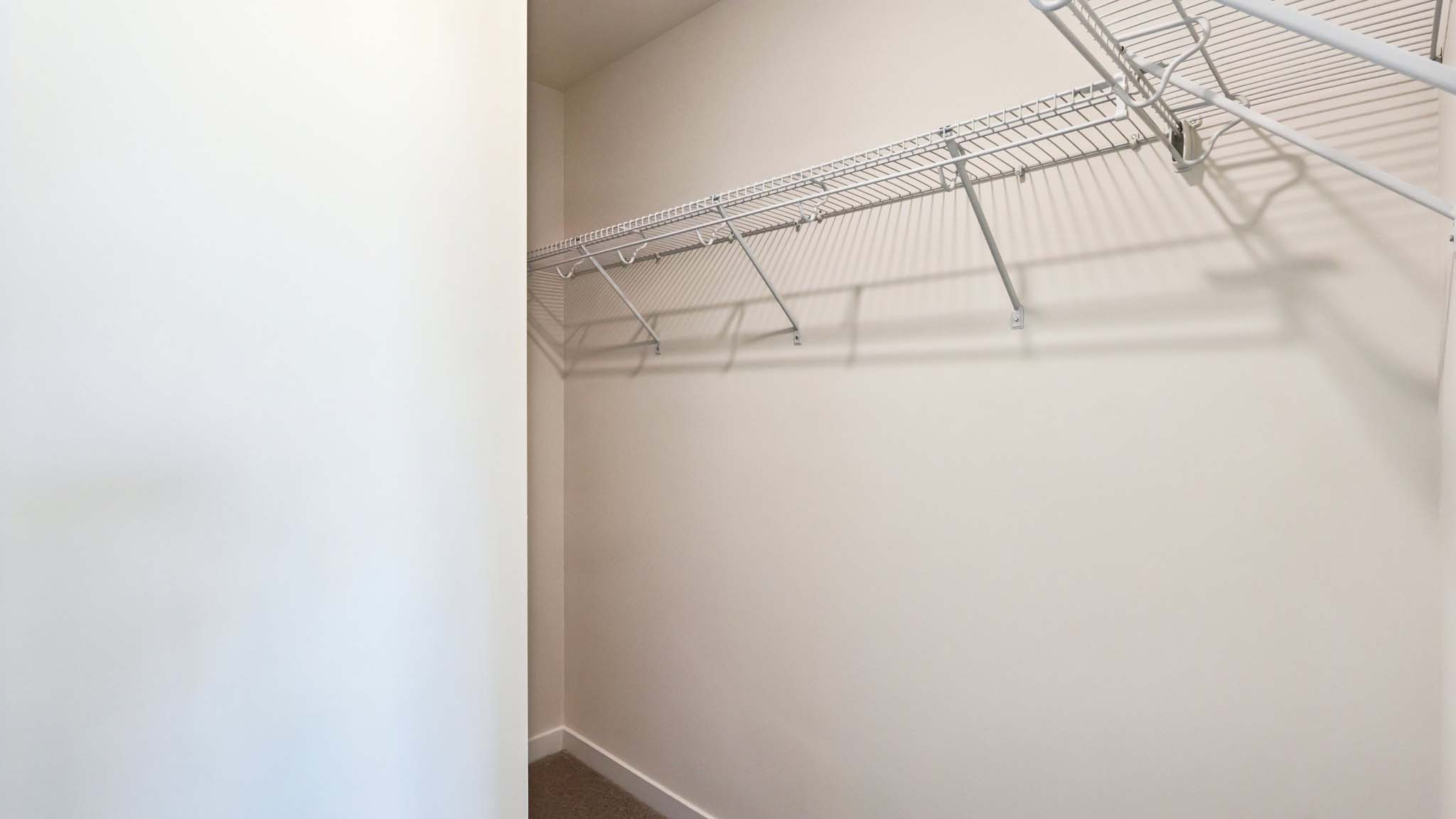 Primary carpeted walk in closet