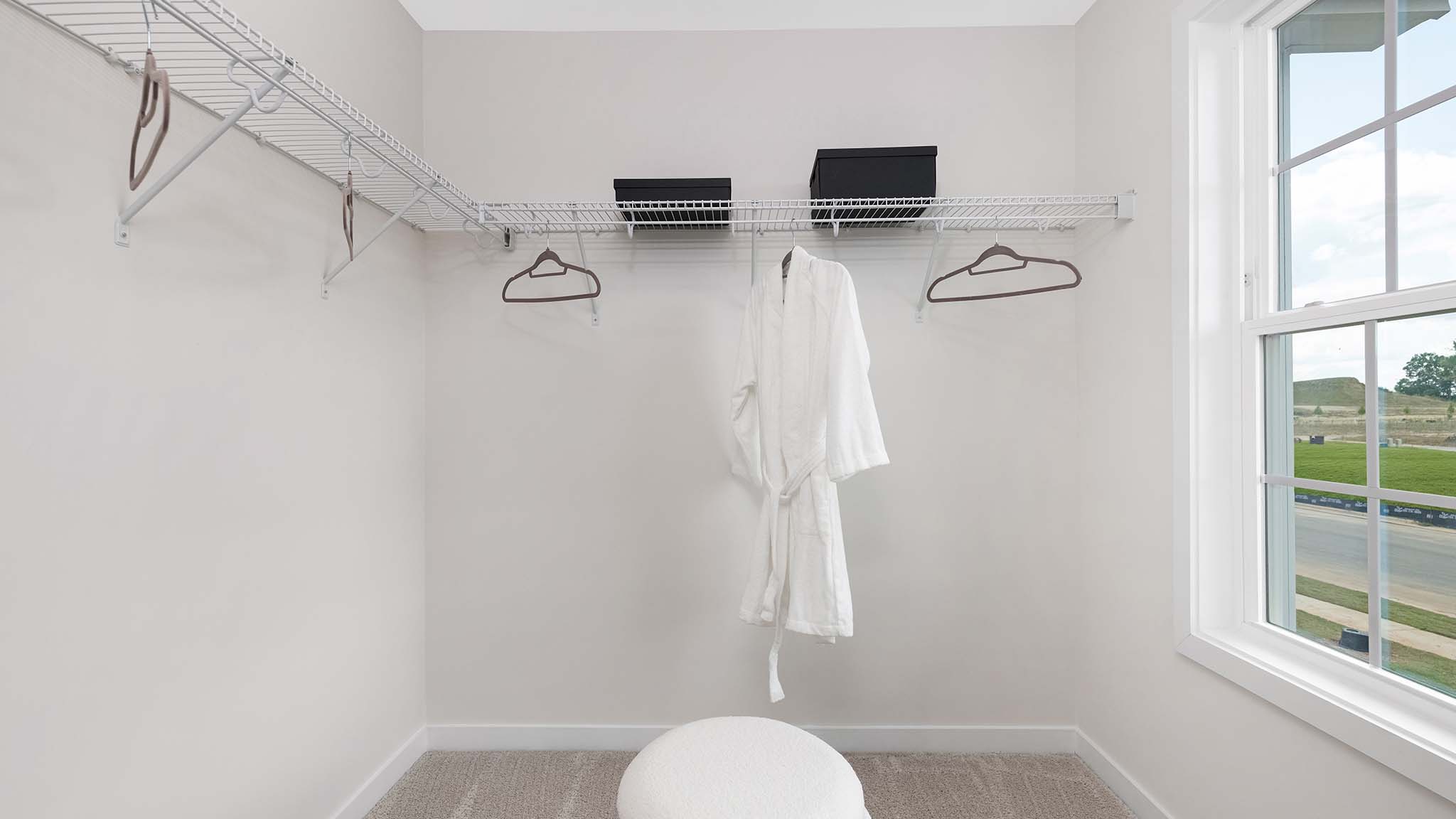 Primary carpeted walk in closet