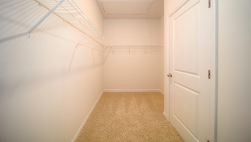 Primary bedroom walk in closet with carpet
