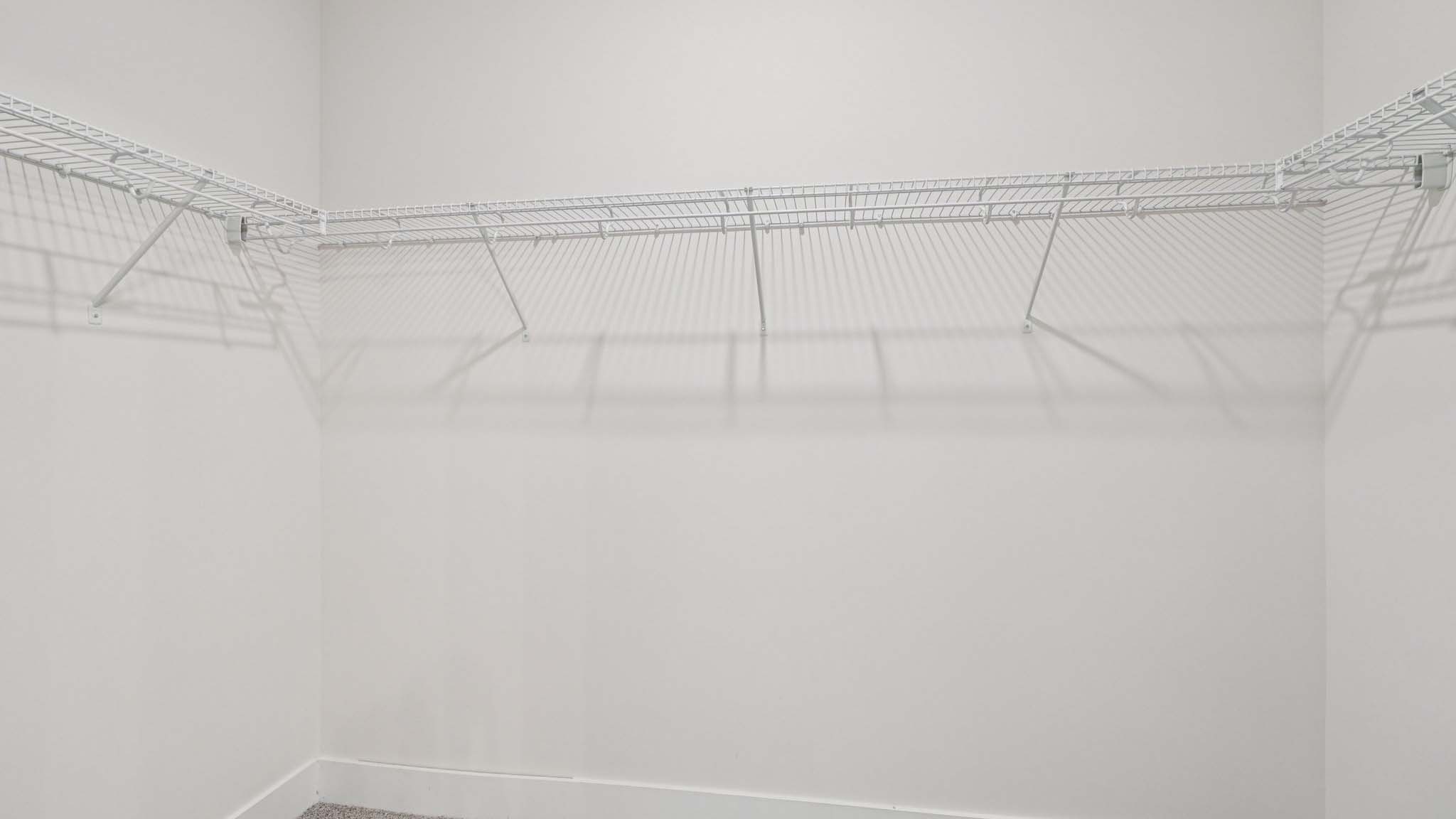 Carpeted walk in closet