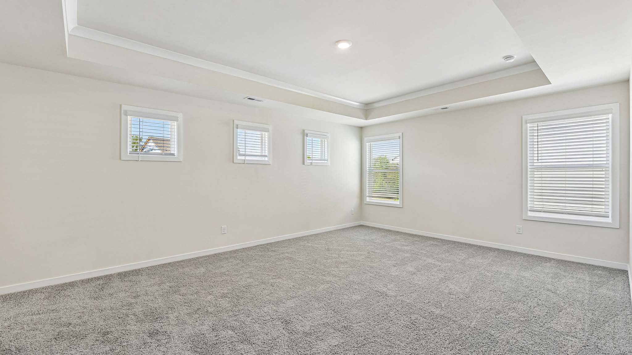 Primary carpeted bedroom with multiple windows